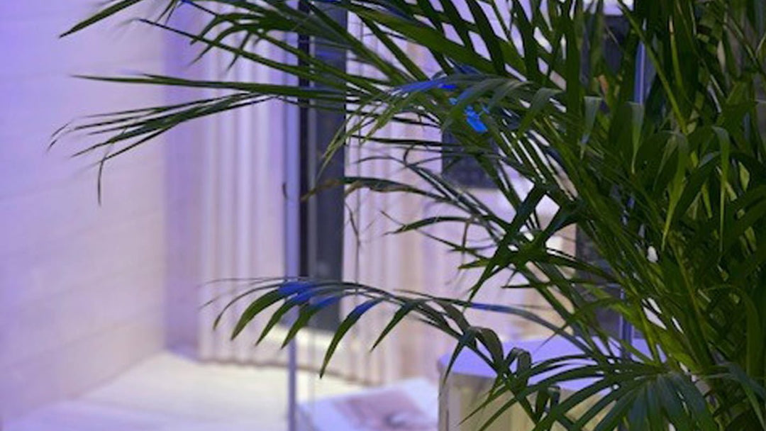 Fritstående sauna